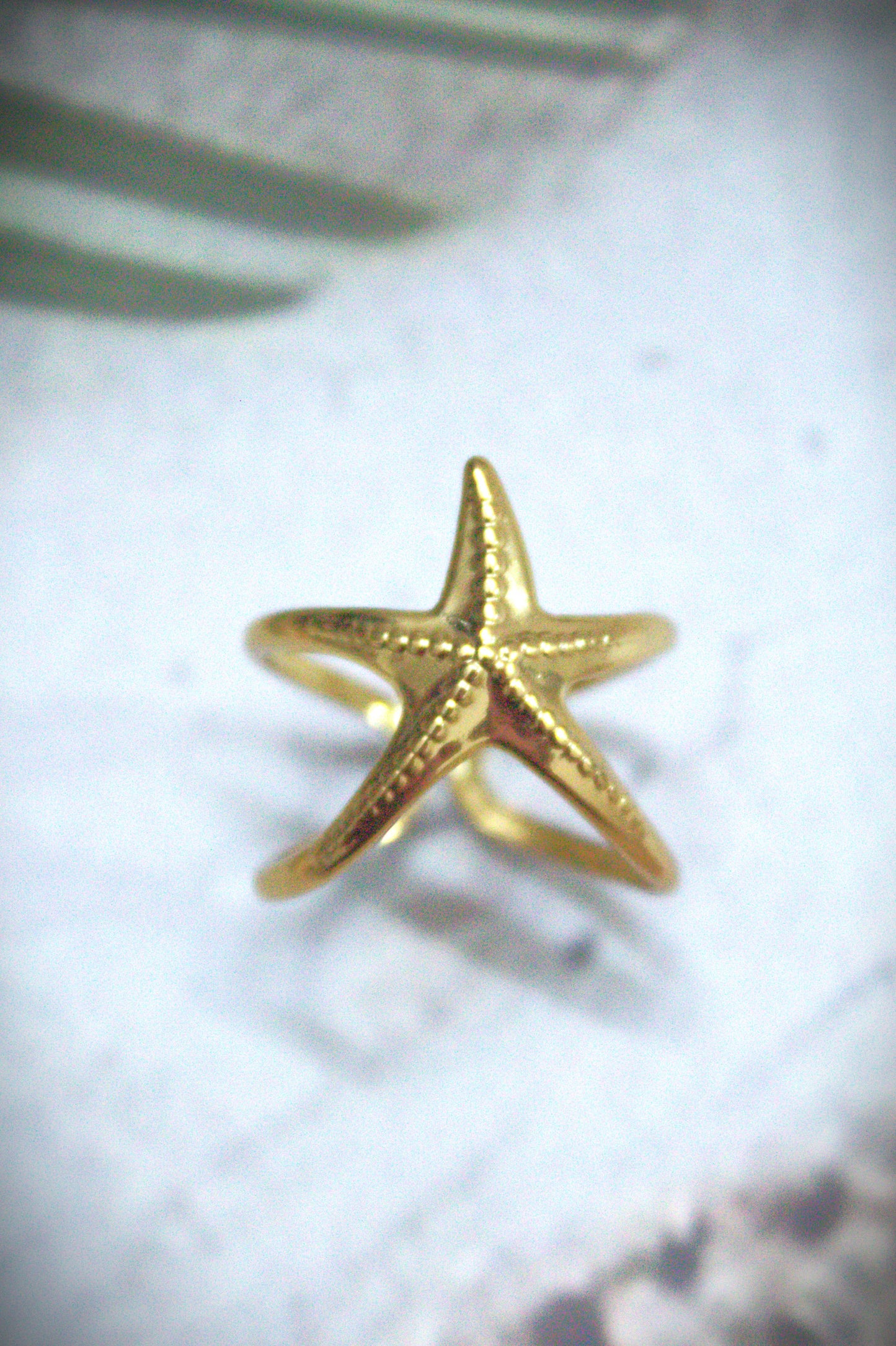 Star Anti-Tarnish Ring